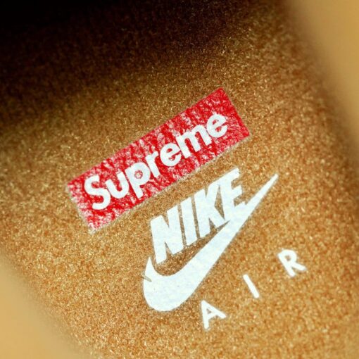 AF1 x Sup Wheat Air Force